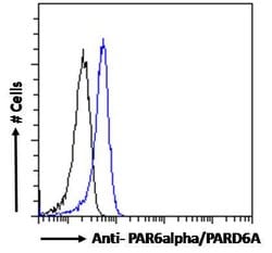 Invitrogen PAR6 Polyclonal Antibody 100 &mu;g; Unconjugated:Antibodies,