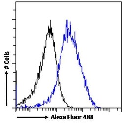 Invitrogen FLAP Polyclonal Antibody 100 &mu;g; Unconjugated:Antibodies,