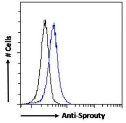 Invitrogen SPRY1 Polyclonal Antibody 100 &mu;g; Unconjugated:Antibodies,