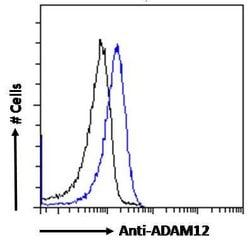 Invitrogen ADAM12 Polyclonal Antibody 100 &mu;g; Unconjugated:Antibodies,