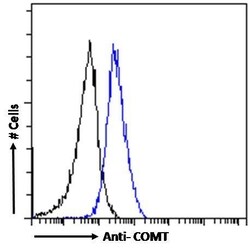 Invitrogen COMT Polyclonal Antibody 100 &mu;g | Buy Online | Invitrogen&trade; | Fisher Scientific