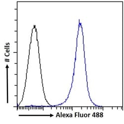 Invitrogen GSTP1 Polyclonal Antibody 100 &mu;g; Unconjugated:Antibodies,