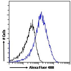 Invitrogen SDHB Polyclonal Antibody 100 &mu;g; Unconjugated:Antibodies,