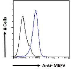 Invitrogen MEFV Polyclonal Antibody 100 μg; Unconjugated:Antibodies,