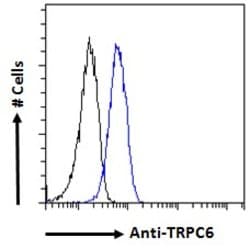 Invitrogen TRPC6 Polyclonal Antibody 100 &mu;g; Unconjugated:Antibodies,