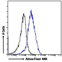 Invitrogen PCK2 Polyclonal Antibody 100 &mu;g; Unconjugated:Antibodies,