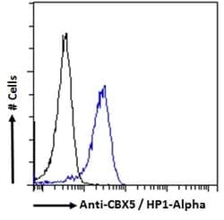 Invitrogen HP1 alpha Polyclonal Antibody 100 &mu;g; Unconjugated:Antistoffer