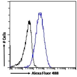 Invitrogen KPNB1 Polyclonal Antibody 100 &mu;g; Unconjugated:Antibodies,