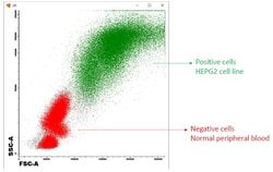 Invitrogen SCD Polyclonal Antibody 100 &mu;g; Unconjugated:Antibodies,