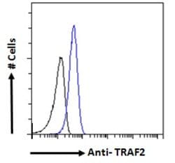 Invitrogen TRAF2 Polyclonal Antibody 100 &mu;g; Unconjugated:Antibodies,