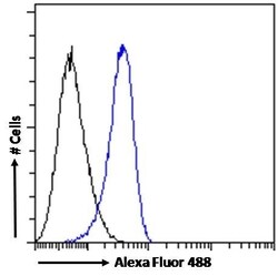 Invitrogen STAM2 Polyclonal Antibody 100 &mu;g; Unconjugated:Antibodies,