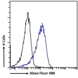 Invitrogen ZNF9 Polyclonal Antibody 100 &mu;g; Unconjugated:Antibodies,