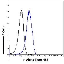 Invitrogen Leptin Receptor Polyclonal Antibody 100 &mu;g; Unconjugated:Antibodies,