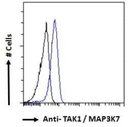 Invitrogen TAK1 Polyclonal Antibody 100 &mu;g; Unconjugated:Antibodies,
