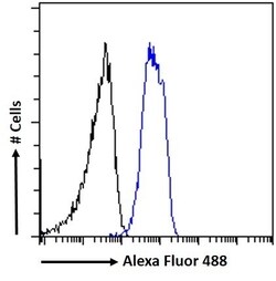 Invitrogen Chromogranin A Precursor Polyclonal Antibody 100 &mu;g; Unconjugated:Antibodies,