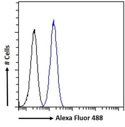 Invitrogen CCM2 Polyclonal Antibody 100 &mu;g; Unconjugated:Antibodies,