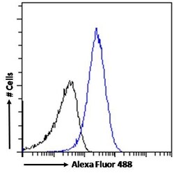 Invitrogen PRPF31 Polyclonal Antibody 100 &mu;g; Unconjugated:Antibodies,