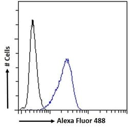 Invitrogen FXR Polyclonal Antibody 100 μg; Unconjugated:Antibodies,