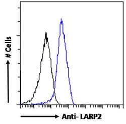 Invitrogen LARP2 Polyclonal Antibody 100 &mu;g; Unconjugated:Antibodies,