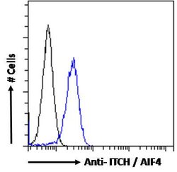 Invitrogen ITCH Polyclonal Antibody 100 &mu;g; Unconjugated:Antibodies,
