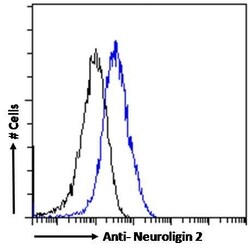 Invitrogen Neuroligin 2 Polyclonal Antibody 100 &mu;g; Unconjugated:Antibodies,