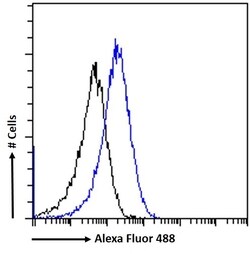 SAP97 Polyclonal Antibody:Antibodies, Polyclonal