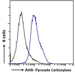 Invitrogen Pyruvate Carboxylase Polyclonal Antibody 100 &mu;g | Buy Online | Invitrogen&trade; | Fisher Scientific
