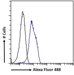 Invitrogen SENP6 Polyclonal Antibody 100 &mu;g; Unconjugated:Antibodies,