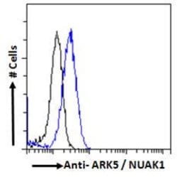 ARK5 Polyclonal Antibody, Invitrogen 100 &mu;g; Unconjugated:Antibodies,