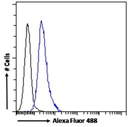 Invitrogen ABCA9 Polyclonal Antibody 100 μg; Unconjugated:Antibodies,