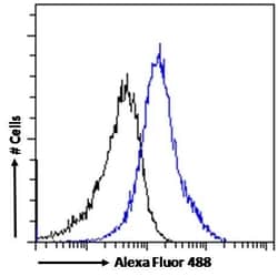 Invitrogen PMP70 Polyclonal Antibody 100 &mu;g; Unconjugated:Antibodies,