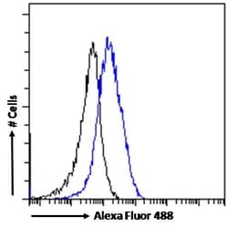 Invitrogen P2X4 Polyclonal Antibody 100 &mu;g; Unconjugated:Antibodies,