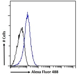 Invitrogen HOXD10 Polyclonal Antibody 100 &mu;g; Unconjugated:Antibodies,