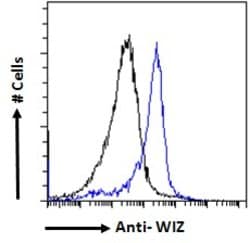 Invitrogen WIZ Polyclonal Antibody 100 &mu;g; Unconjugated:Antibodies,