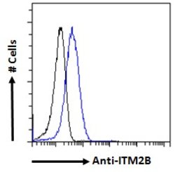 Invitrogen ITM2B Polyclonal Antibody 100 &mu;g; Unconjugated:Antibodies,