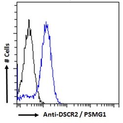 Invitrogen PSMG1 Polyclonal Antibody 100 &mu;g; Unconjugated:Antibodies,