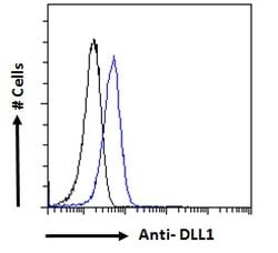 Invitrogen DLL1 Polyclonal Antibody 100 &mu;g; Unconjugated:Antibodies,