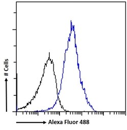 Invitrogen SATB1 Polyclonal Antibody 100 &mu;g; Unconjugated:Antibodies,