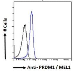 Invitrogen Blimp-1 Polyclonal Antibody 100 &mu;g; Unconjugated:Antibodies,