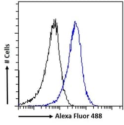 Invitrogen ACAT1 Polyclonal Antibody 100 &mu;g; Unconjugated:Antibodies,