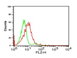 Invitrogen CX3CR1 Polyclonal Antibody 100 &mu;g; Unconjugated:Antibodies,