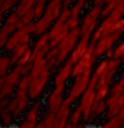 Invitrogen CRTH2 Polyclonal Antibody 100 &mu;g; Unconjugated:Antibodies,