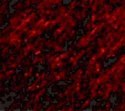 Invitrogen STK39 Polyclonal Antibody 100 &mu;g; Unconjugated:Antibodies,