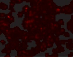 Invitrogen SCRN3 Polyclonal Antibody 100 &mu;g | Buy Online | Invitrogen&trade; | Fisher Scientific