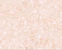 Invitrogen NALP12 Polyclonal Antibody 100 &mu;g; Unconjugated:Antibodies,