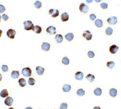 Invitrogen TFF3 Polyclonal Antibody 100 &mu;g; Unconjugated:Antibodies,