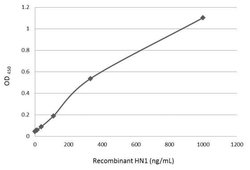 Invitrogen HN1 Polyclonal Antibody 100 &mu;L; Unconjugated:Antibodies,
