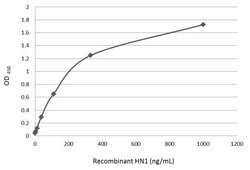 Invitrogen HN1 Polyclonal Antibody 100 &mu;L; Unconjugated:Antibodies,