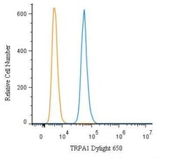 Invitrogen TRPA1 Polyclonal Antibody, DyLight 650 100 &mu;L; DyLight 650:Anticorps,