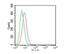 Invitrogen TLR4 Polyclonal Antibody 100 &mu;g; Unconjugated:Antibodies,
